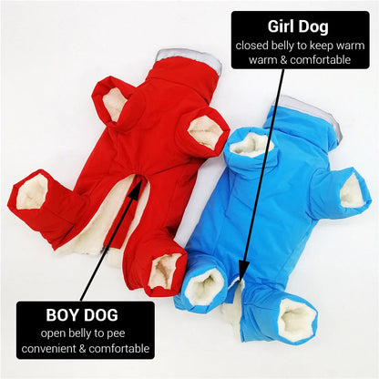 VIP Coat for Dogs