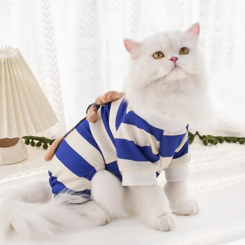 Pet accessories clothes