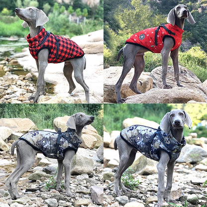 VIP Dog Clothes Jacket