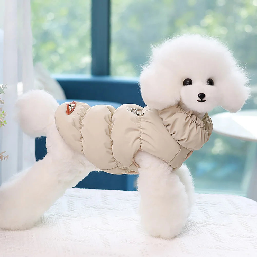 Coat for Dogs: Elegance and Comfort for Your Best Friend