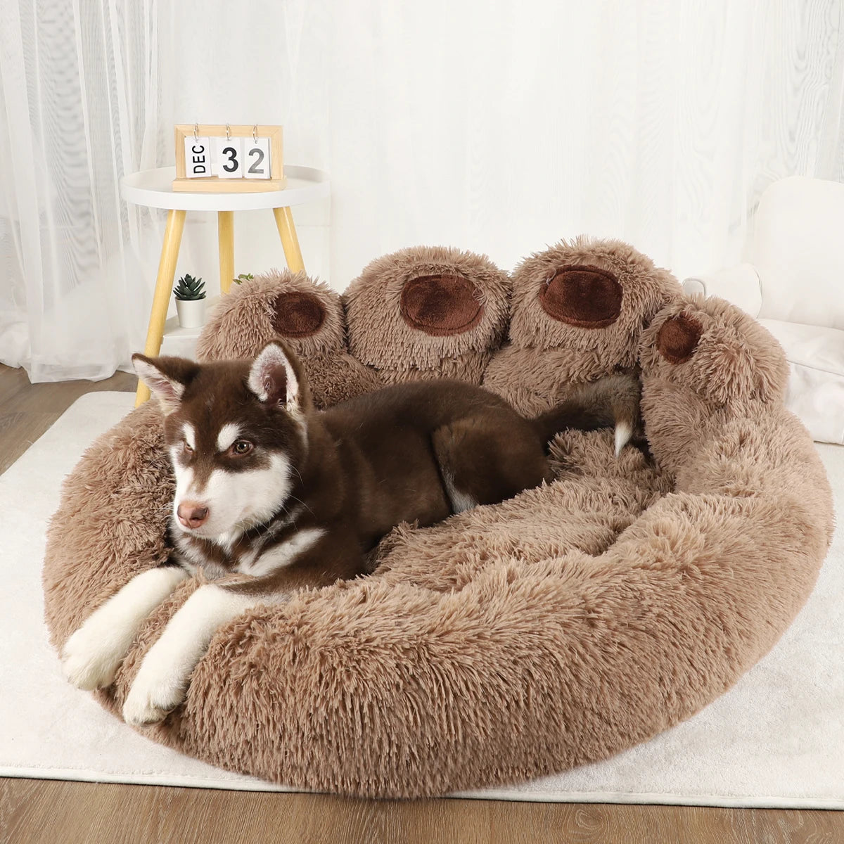 Dog Bed - Comfort and Convenience for Your Pet | BeiYu Pet