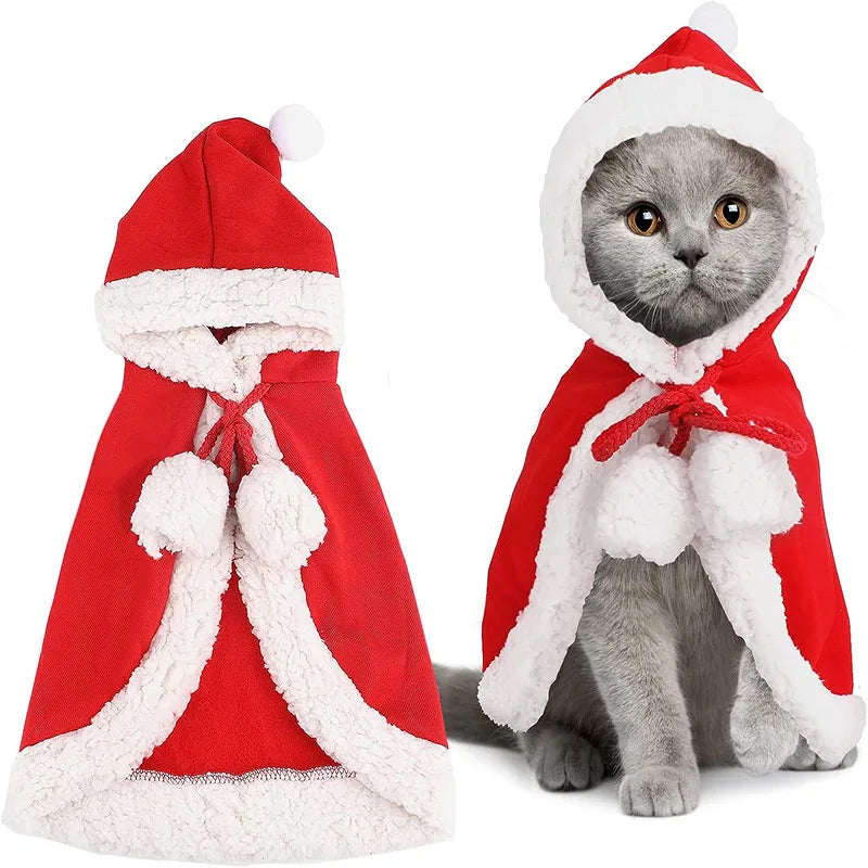 Cat Costume Santa Funny