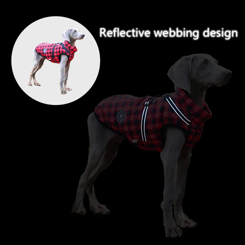 VIP Dog Clothes Jacket